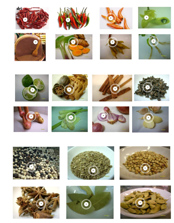 thai_common_ingredient.png